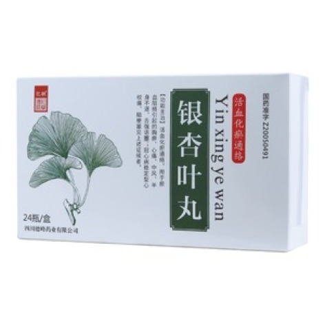 银杏叶丸(亿帆)包装主图 银杏叶丸(亿帆)包装主图