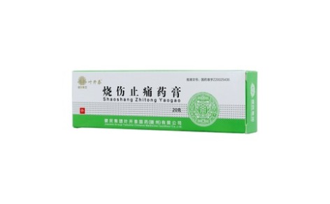 烧伤止痛药膏(叶开泰)主图 烧伤止痛药膏(叶开泰)主图