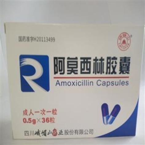 阿莫西林胶囊(蓉药)包装主图