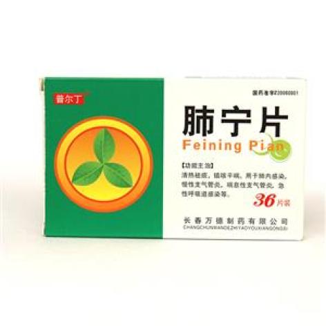 肺宁片(普尔丁)包装主图 肺宁片(普尔丁)包装主图