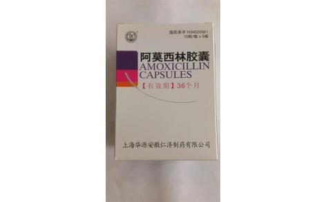 阿莫西林胶囊(仁济堂)主图 阿莫西林胶囊(仁济堂)主图