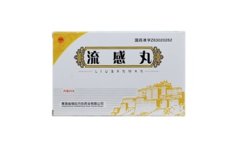 流感丸(格拉丹东)主图 流感丸(格拉丹东)主图