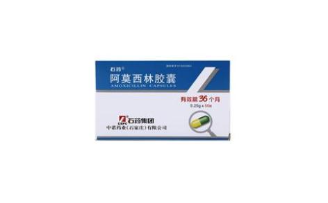阿莫西林胶囊(石药)主图 阿莫西林胶囊(石药)主图