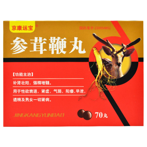 参茸鞭丸(京康运宝)包装主图 参茸鞭丸(京康运宝)包装主图