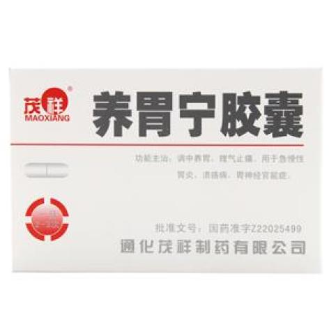 养胃宁胶囊(茂祥)包装主图