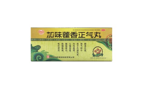 加味藿香正气丸(药都)主图 加味藿香正气丸(药都)主图
