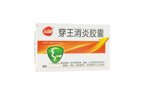 穿王消炎胶囊(新远健)主图