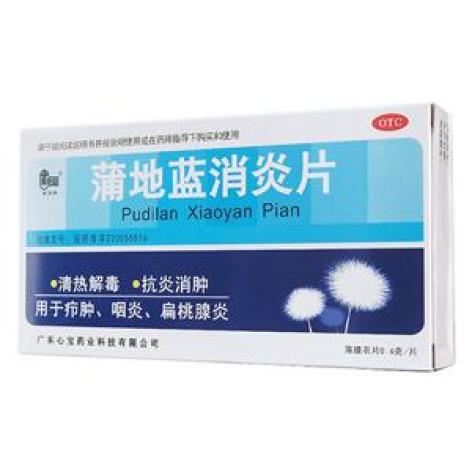 蒲地蓝消炎片(星辰)包装主图