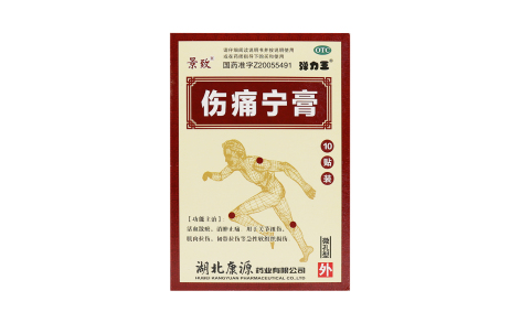 伤痛宁膏(康源)主图