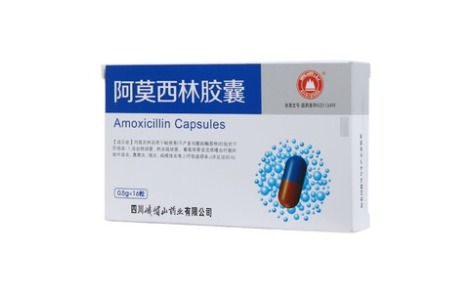 阿莫西林胶囊(峨嵋山)主图