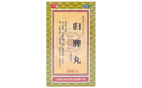 归脾丸(上龙)主图