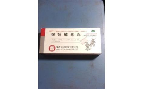 银翘解毒丸(辰济)主图 银翘解毒丸(辰济)主图