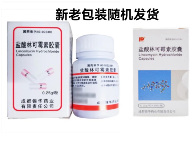盐酸林可霉素胶囊(锦华)包装主图 盐酸林可霉素胶囊(锦华)包装主图