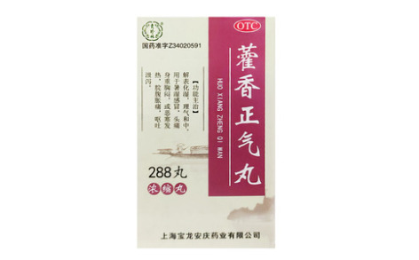 藿香正气丸(上龙)主图 藿香正气丸(上龙)主图