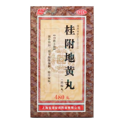 桂附地黄丸(宝龙)包装主图