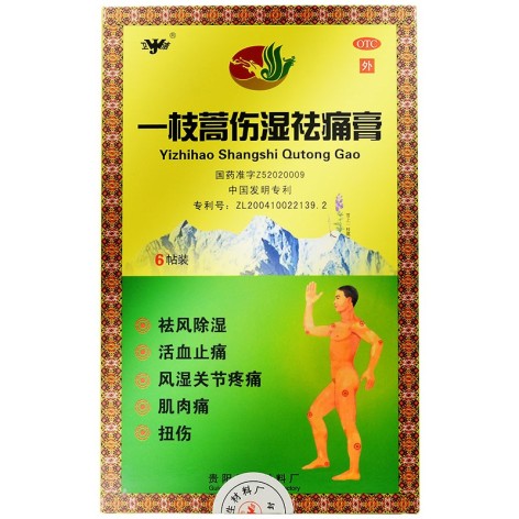 一枝蒿伤湿祛痛膏(卫洁)包装主图 一枝蒿伤湿祛痛膏(卫洁)包装主图
