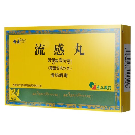 流感丸(奇正)包装主图 流感丸(奇正)包装主图