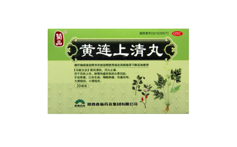 黄连上清丸(东秦牌)主图 黄连上清丸(东秦牌)主图