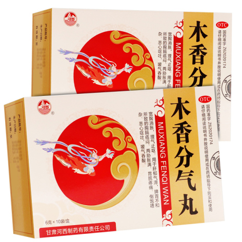 木香分气丸(河西)包装主图 木香分气丸(河西)包装主图