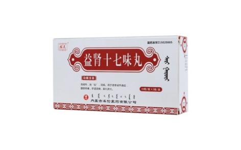 益肾十七味丸(安友)主图
