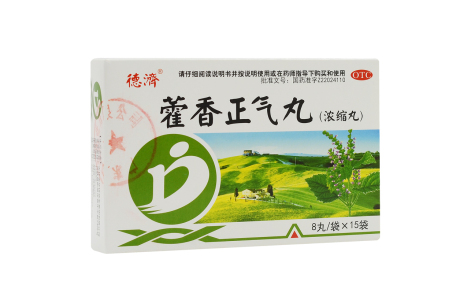 藿香正气丸(德济)主图