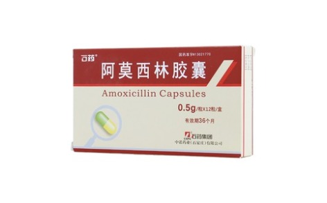 阿莫西林胶囊(石药)主图 阿莫西林胶囊(石药)主图