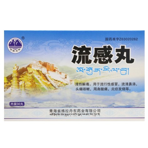 流感丸(格拉丹东)包装主图 流感丸(格拉丹东)包装主图