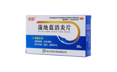 蒲地蓝消炎片(鼎鹤)主图