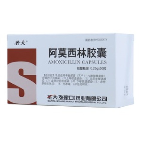 阿莫西林胶囊(圣大)包装主图 阿莫西林胶囊(圣大)包装主图