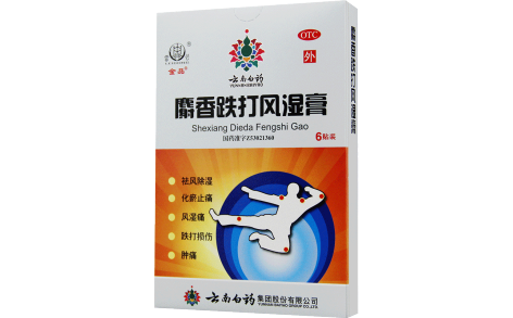 麝香跌打风湿膏(金品)主图