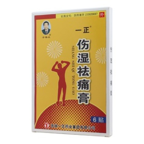 伤湿祛痛膏(一正)包装主图
