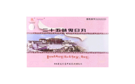 二十五味鬼臼丸(卓玛丹)主图 二十五味鬼臼丸(卓玛丹)主图