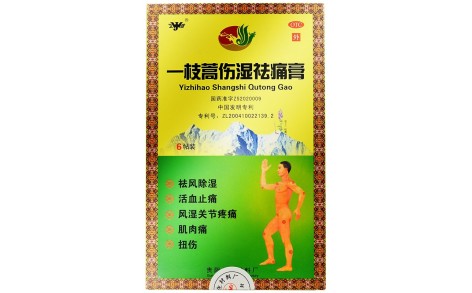 一枝蒿伤湿祛痛膏(卫洁)主图 一枝蒿伤湿祛痛膏(卫洁)主图