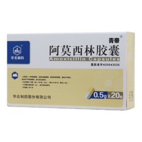 阿莫西林胶囊(青帝)包装主图 阿莫西林胶囊(青帝)包装主图
