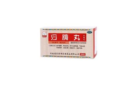 归脾丸(孙真人)主图